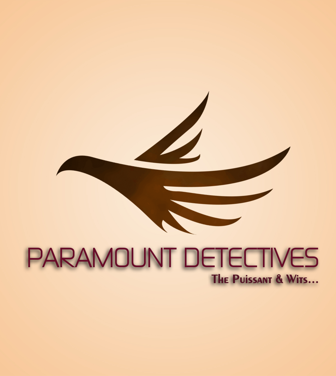 Paramount Detective Agency